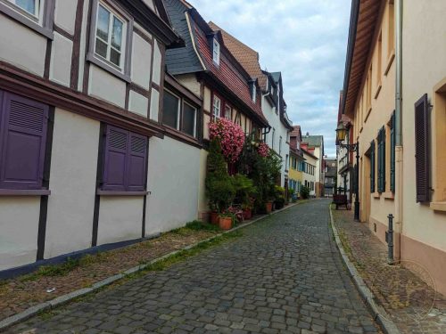 Gary Lam Event 2025 GRG-65